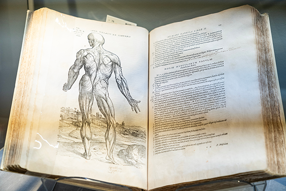 “De Humani Corporis Fabrica” (“On the Fabric of the Human Body”)