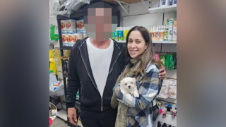 מאי גולן כלב גזעי