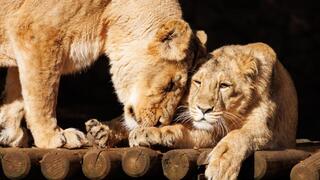 קיארה עם אמה