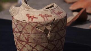 שני גמלים ובעל חיים נוסף על הפך