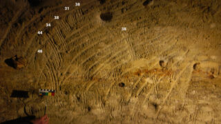 ציורי אצבעות שנעשו על-ידי ילדים במערת Rouffignac