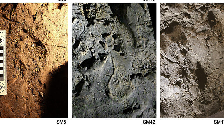 עקבות ילדים ממערת בסורה (Basura Cave), 14,000 שנים לפני זמננו