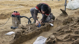 ניתוח ממצאי קבר האחים הרומי מסוף המאה ה-1 לספירה, שהתגלה ברובע זימרינג שבעיר וינה