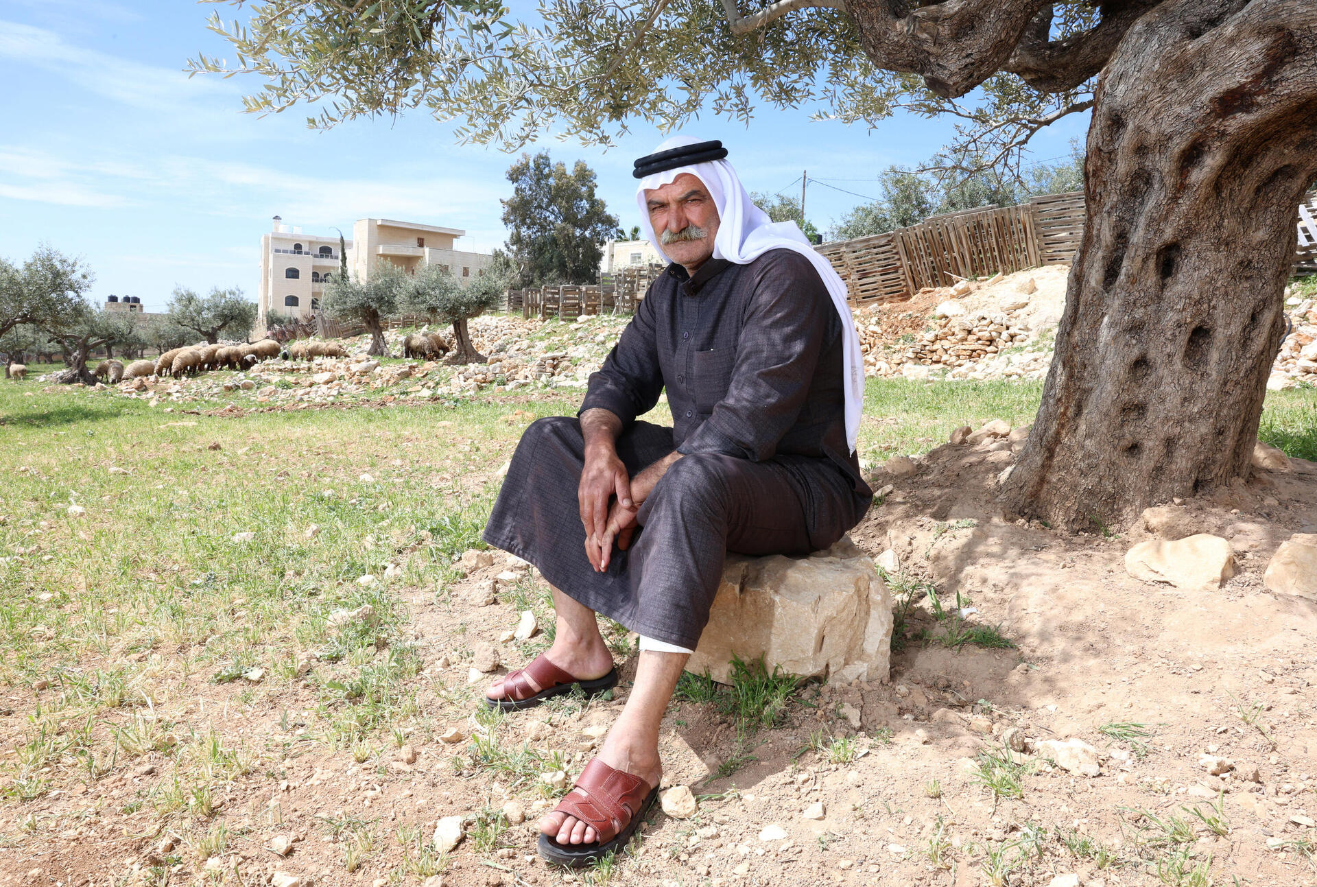 ארון ראשיד כחלה מהכפר ואדי א-סיק, שתושביו גורשו על ידי מתנחלים  