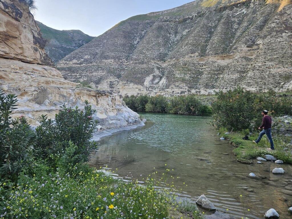 The Rokad River (Photo: Limor Portal) נחל הרוקאד