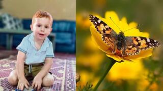 Ариэль Бибас и бабочка его имени