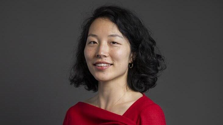 יואן יאנג חברת הפרלמנט הבריטי שסורבה כניסה לישראל