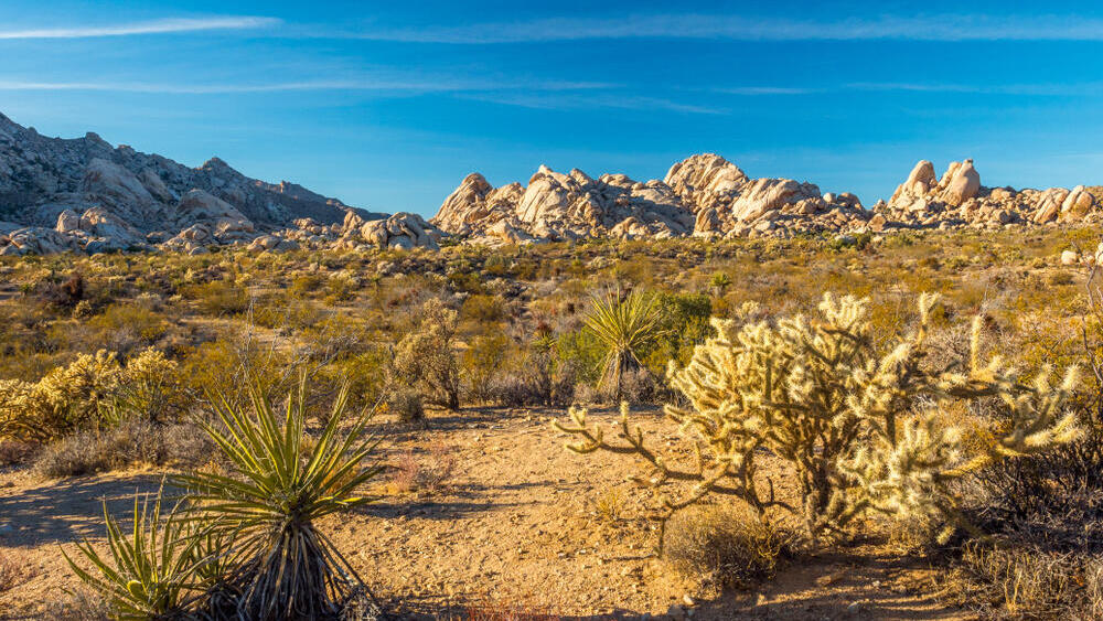 Scientists use AI to combat water scarcity desertification
