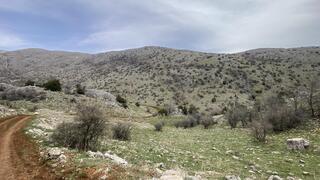 "שביל הגולן" יורד אל נחל גובתה