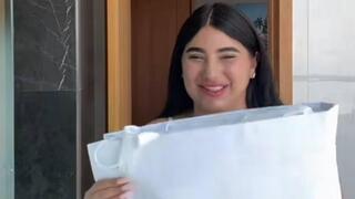 אודיה פינטו תיק דיור נתפסה במכס 
