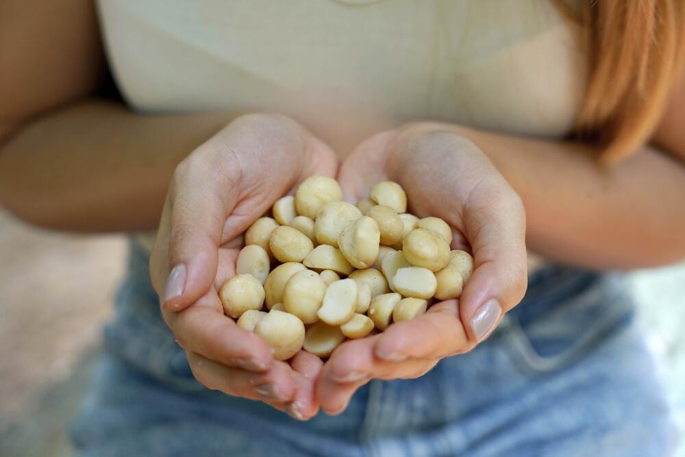 אגוזי מקדמיה
