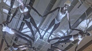 Коллекция Леи Готлиб с хризантемами 