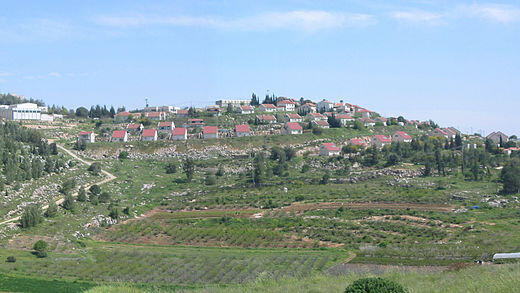 The hills of Shiloh