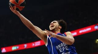 שיין לארקין