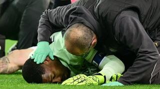 מייק מנאן על הדשא