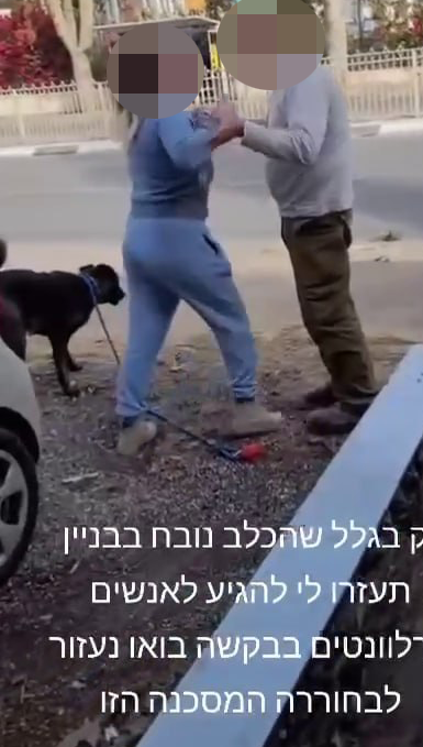 Нападение תיעוד: אב ובנו תוקפים את שכנתם בפתח תקווה ומאיימים להרוג את הכלב שלה