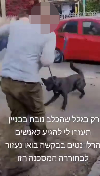 תיעוד: אב ובנו תוקפים את שכנתם בפתח תקווה ומאיימים להרוג את הכלב שלה