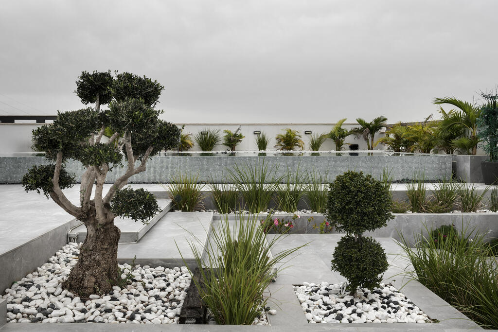 The garden designed by the late landscape architect Haimi Bennaim killed by Hamas terrorist on October 7 (Photo: Oded Smadar) הבית בשדרות, עיצוב: מקס ואלי קינן, אדריכלות ועיצוב פנים