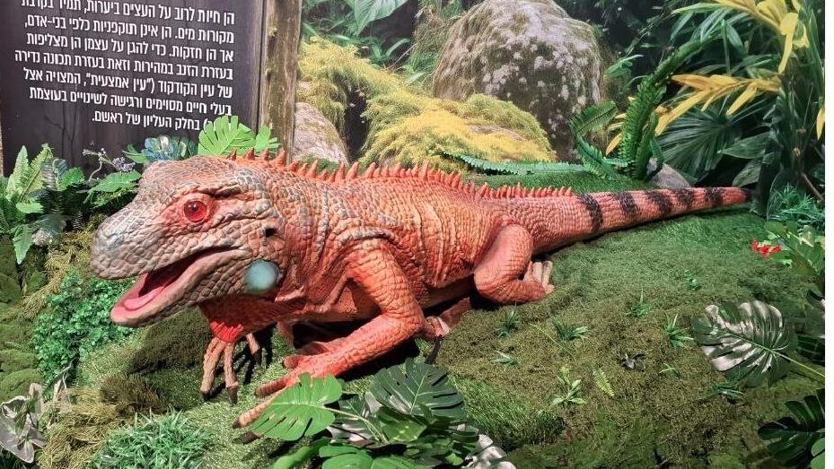 Экспонаты выставки 