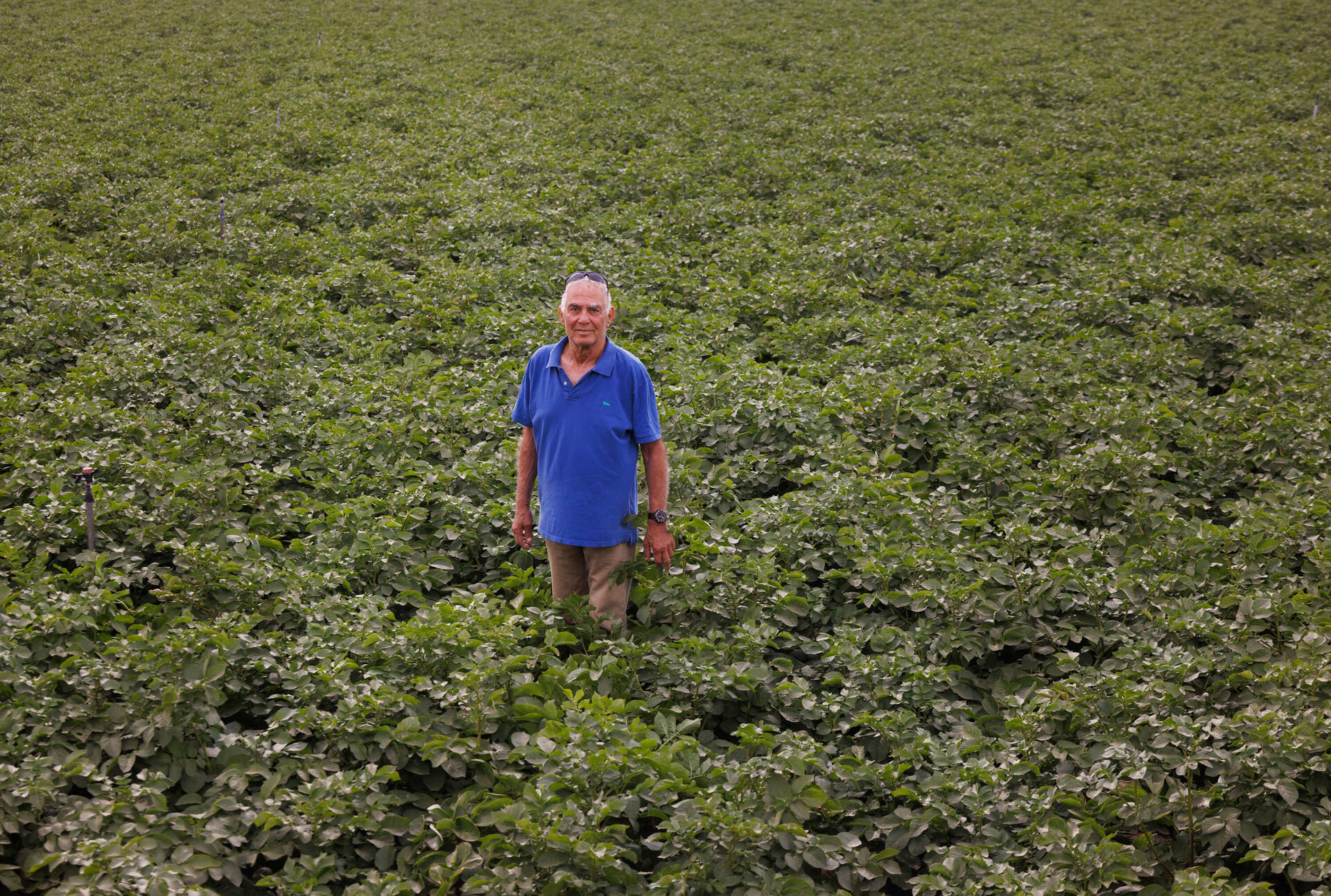 בטבע שלו. גדי מוזס חוזר לשדות ניר עוז 