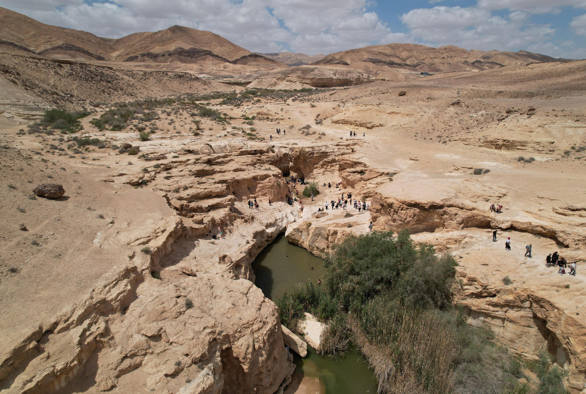 עין ירקעם, סמוך למכתש. 500 מטר משם יוקם מכרה פוספטים, שצפוי לגרום נזק גדול לטבע  