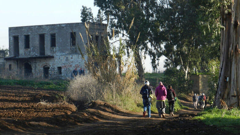 מטיילים ב"שביל ישראל", ליד בית לאה