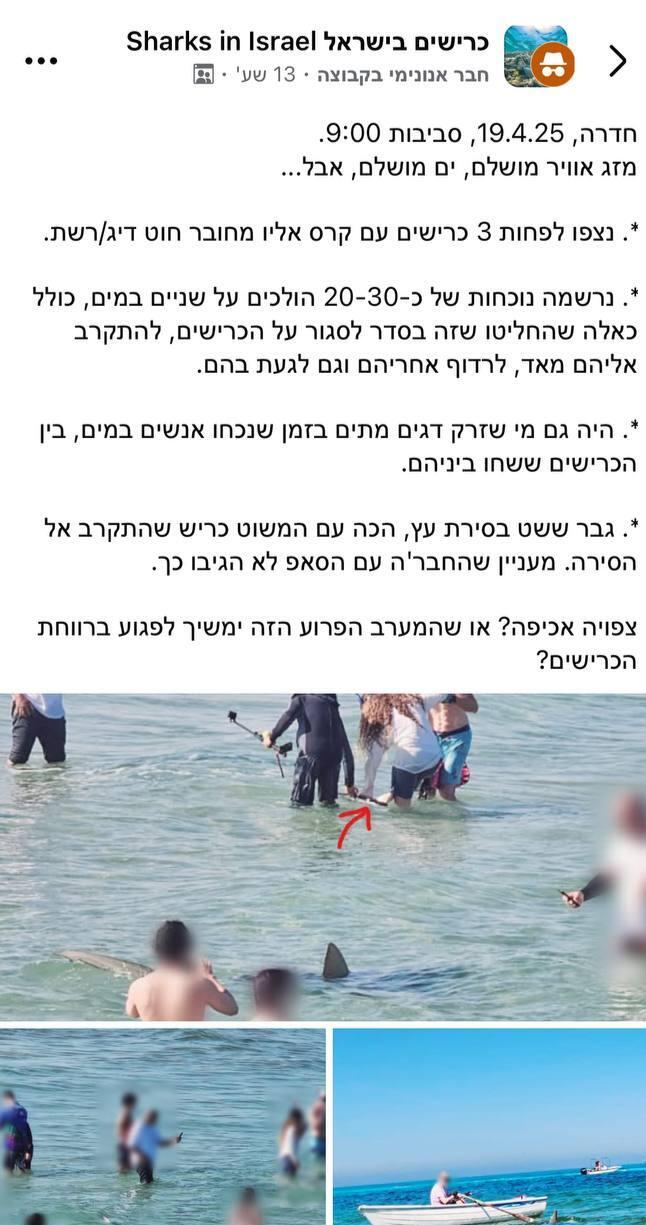 פוסט על אנשים שמפריעים לרווחת הכרישים בחוף בחדרה