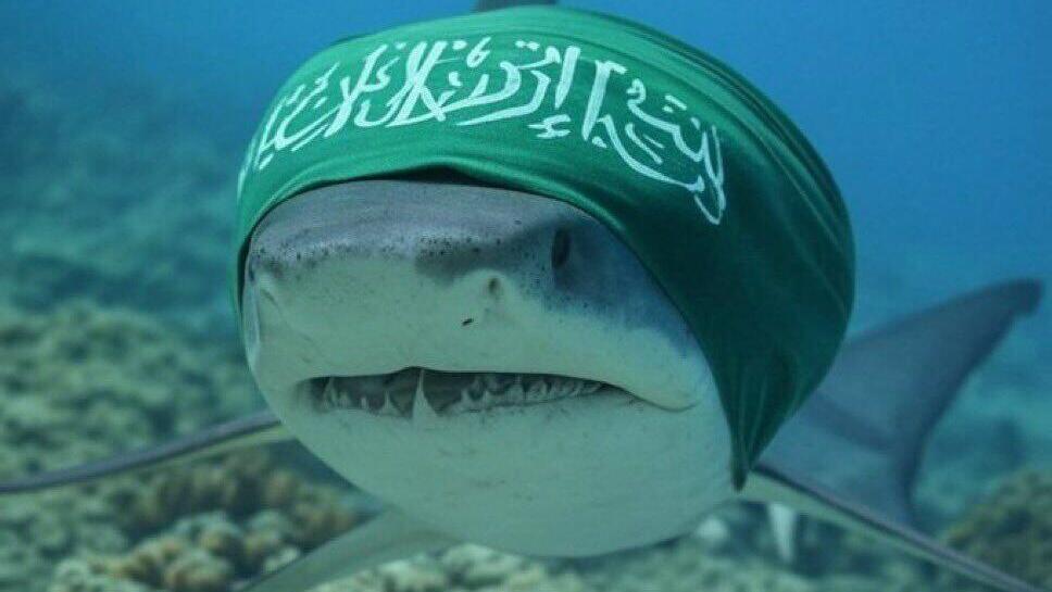 תמיכה בעולם הערבי ברשתות לאחר תקיפת הכריש בחדרה