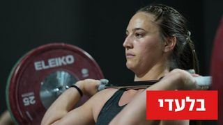 סילביה גולד