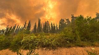 שריפה בסמוך לבית שמש ואשתאול