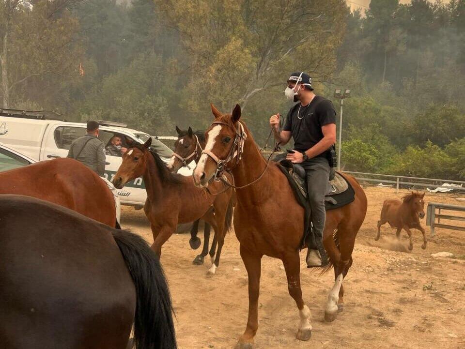 פינוי במסילת ציון מחלצים כלבים ומפני חוות סוסים