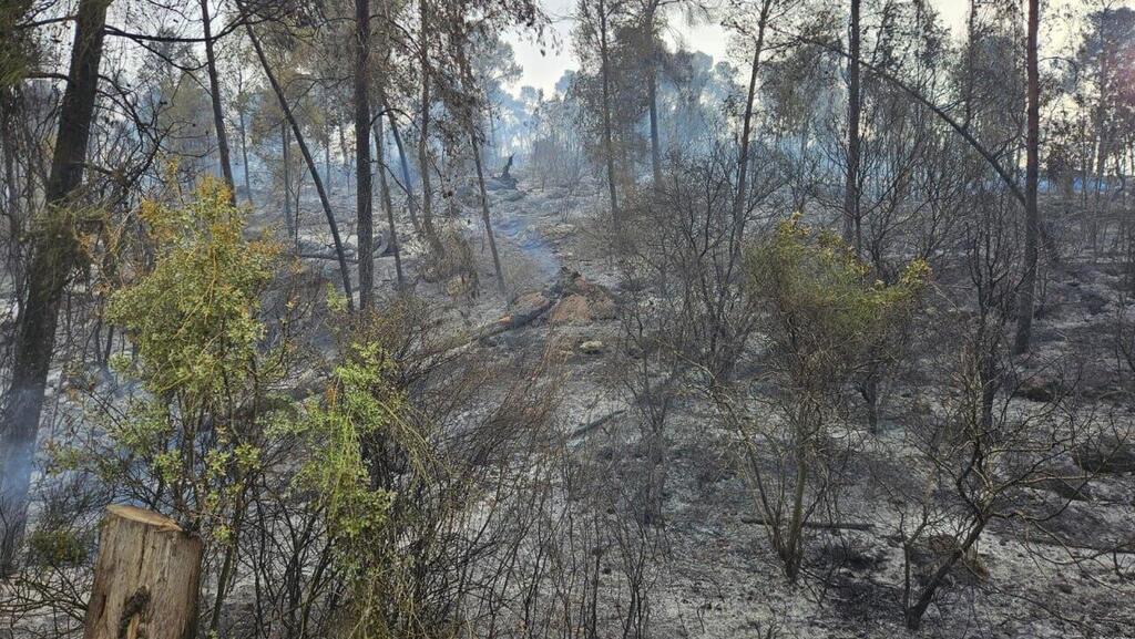 מניעת התפשטות מוקדי השריפה ביערות הרי ירושלים