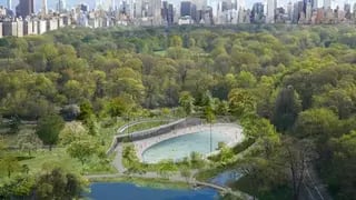 בריכת גוטסמן (Gottesman Pool) 