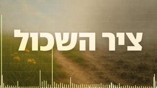 כמה לוחמים ואזרחים נפלו כל שנה? הנתונים המלאים