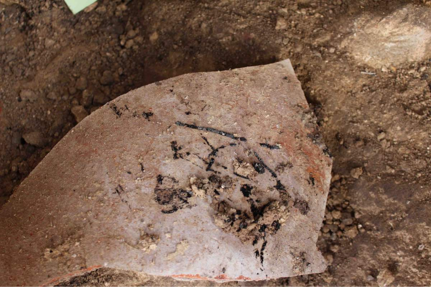 It is possible to compare radiocarbon dating to other independently dated findings and detect deviations from the calibration curve. Charred straw fragments on a jar from the time of the First Temple’s destruction (Photo: Johanna Regev) אפשר להשוות בין תארוך הפחמן לממצאים מתוארכים אחרים, ולגלות את הסטיות מעקום הכיול. אניצי קש מפוחמים על כד מתקופת חורבן בית ראשון