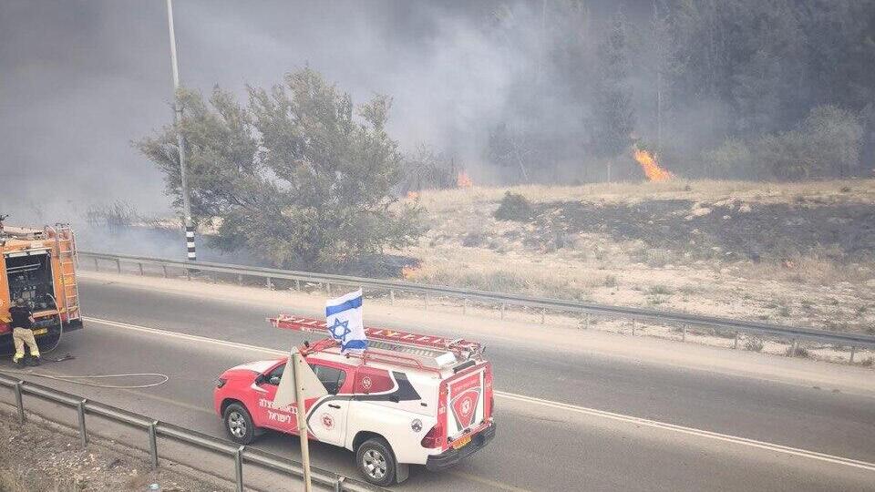 יער קנדה 