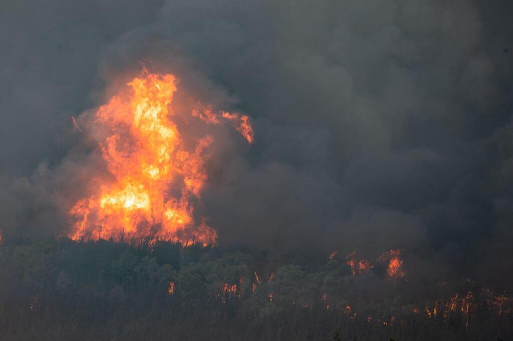 שריפות ענק באזור שער הגיא