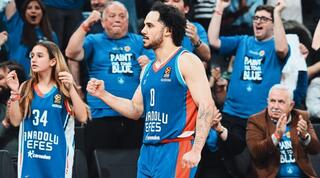 שיין לארקין