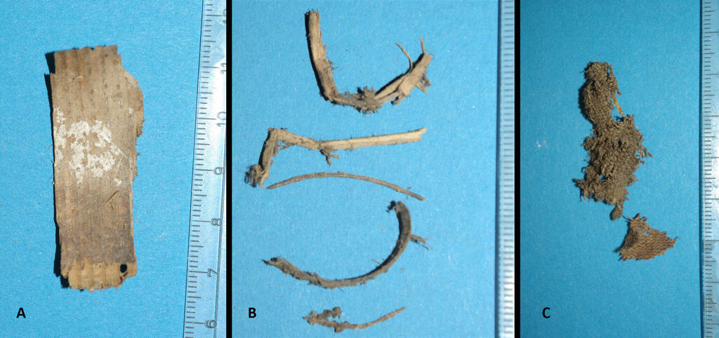 One of the wood chips on the left, the twigs in the middle and the cloth on the right, taken out of the embalmed body of the Austrian priest (Photo: Andreas Nerlich) אחד משבבי העץ (משמאל), הזרדים (באמצע) והבדים (מימין) שהוצאו מגופתו החנוטה של הכומר האוסטרי פרנץ קסבר סידלר פון רוזנג