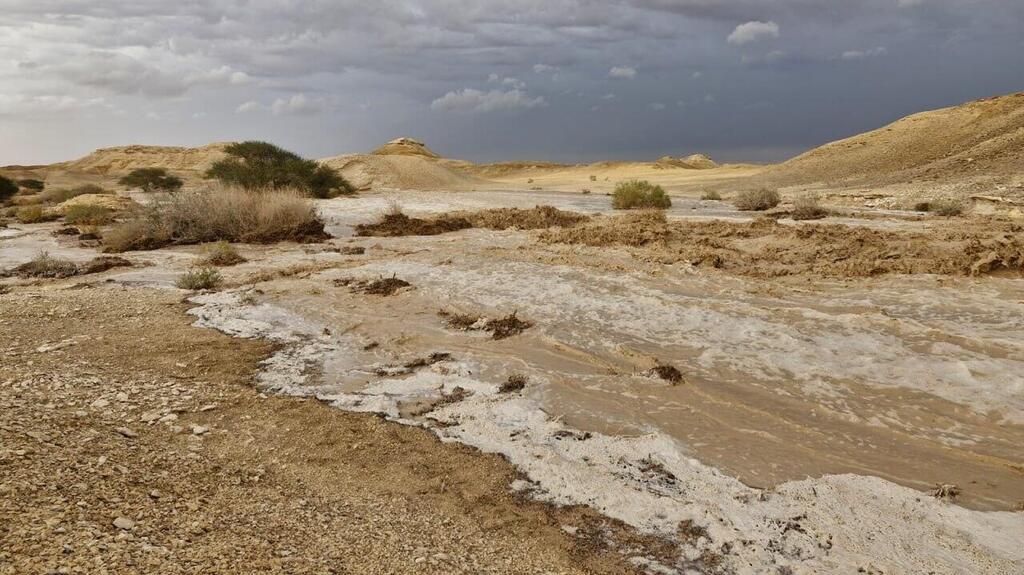 Floods near Eilat last year (Photo: Noga Gibori) שיטפונות בנחל עומר