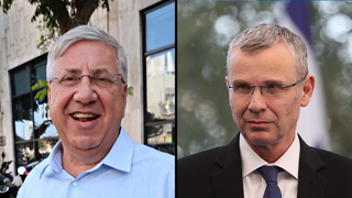 יריב לוין יעקב ברדוגו