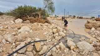 סחף בכניסה לשמורת הטבע עין גדי