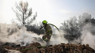 אש, בצורת - ושיקום: השנה הקשה של יערות ישראל