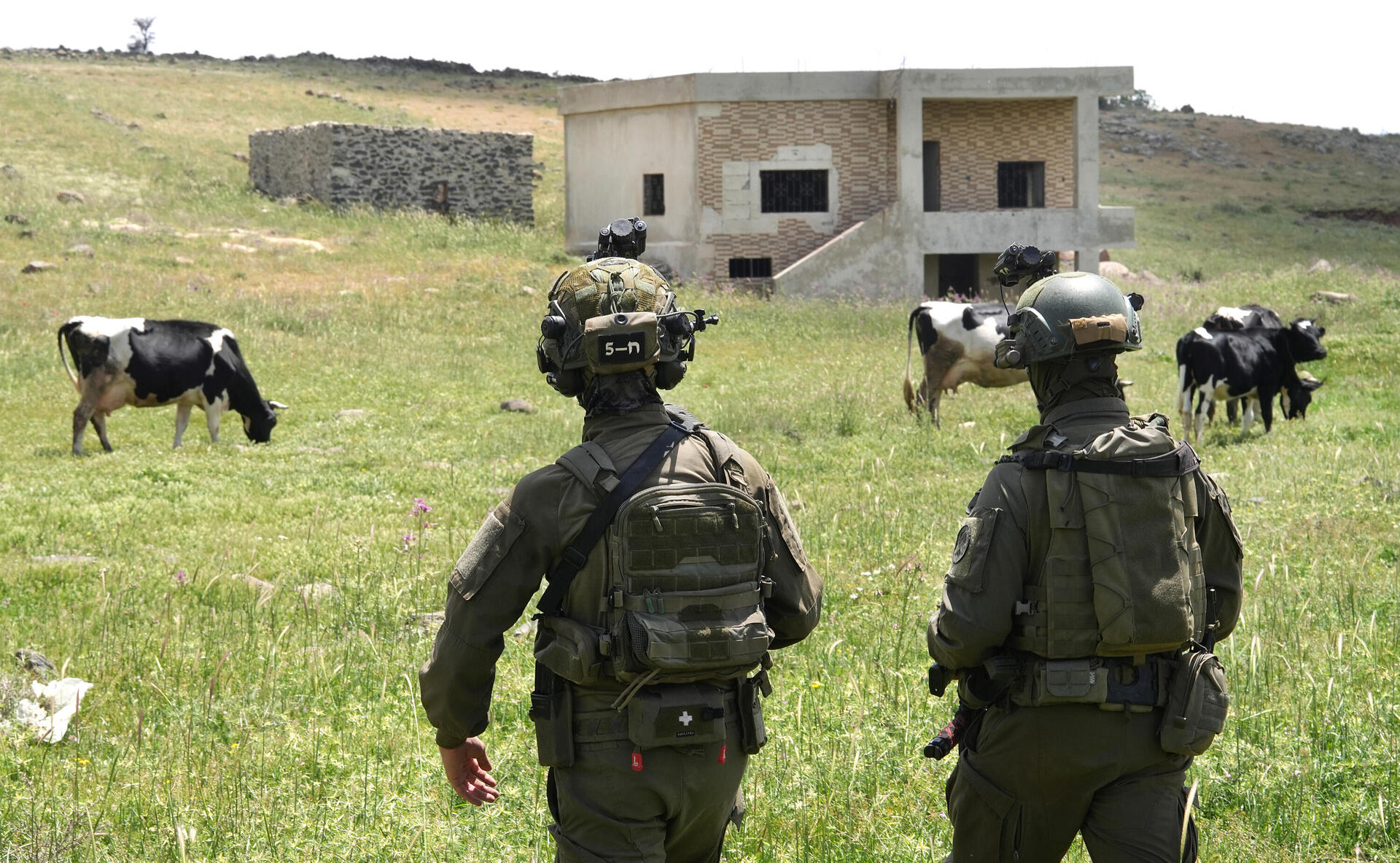 פסטורלי, כאילו. לוחמי גדוד 13 של גולני בסוריה 