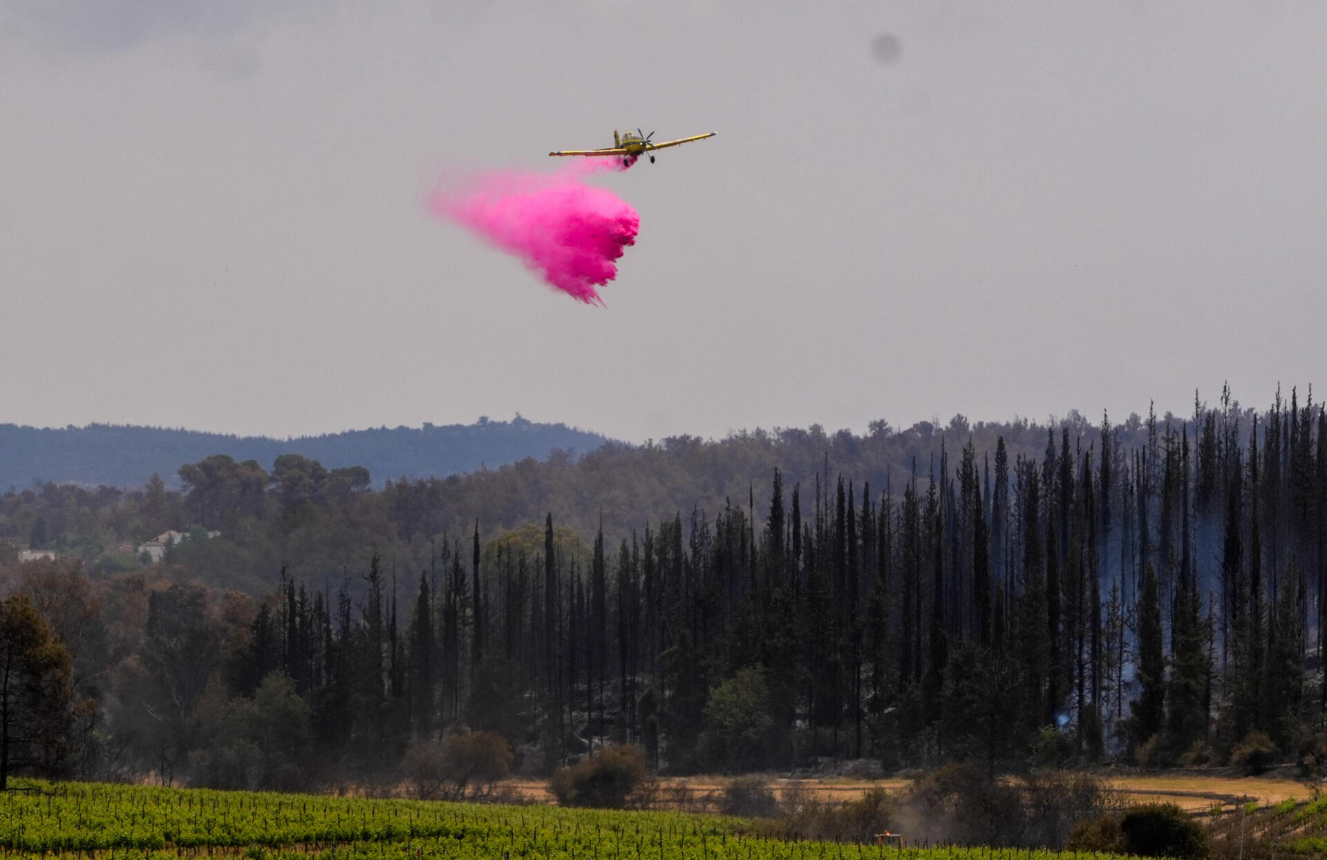 מטוס כיבוי עוזר לכבות שריפות בהרי ירושלים 