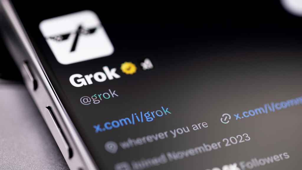 Grok (Photo: Primakov/Shutterstock) גרוק