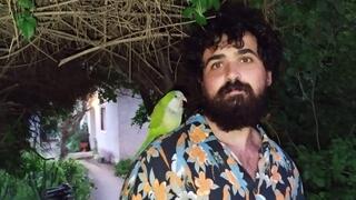 גיא שטיין