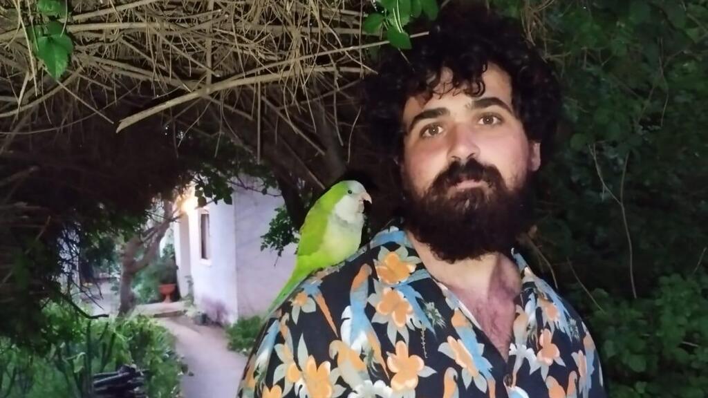 גיא שטיין