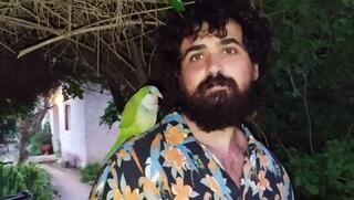 גיא שטיין