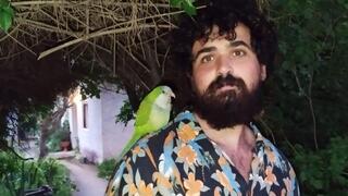 גיא שטיין